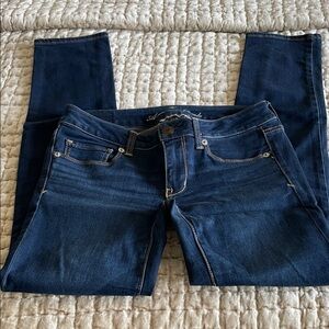 American Eagle Outfitters Navy Skinny Jeans